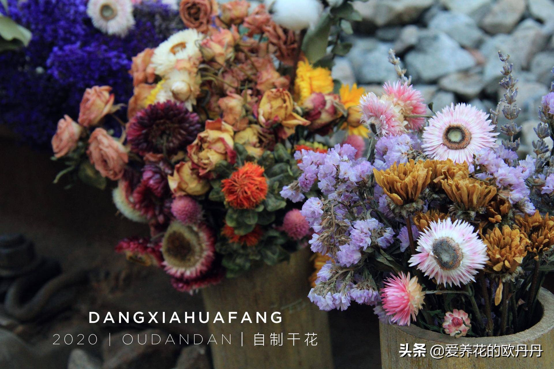 干花diy相框儿童,干花diy相框自制