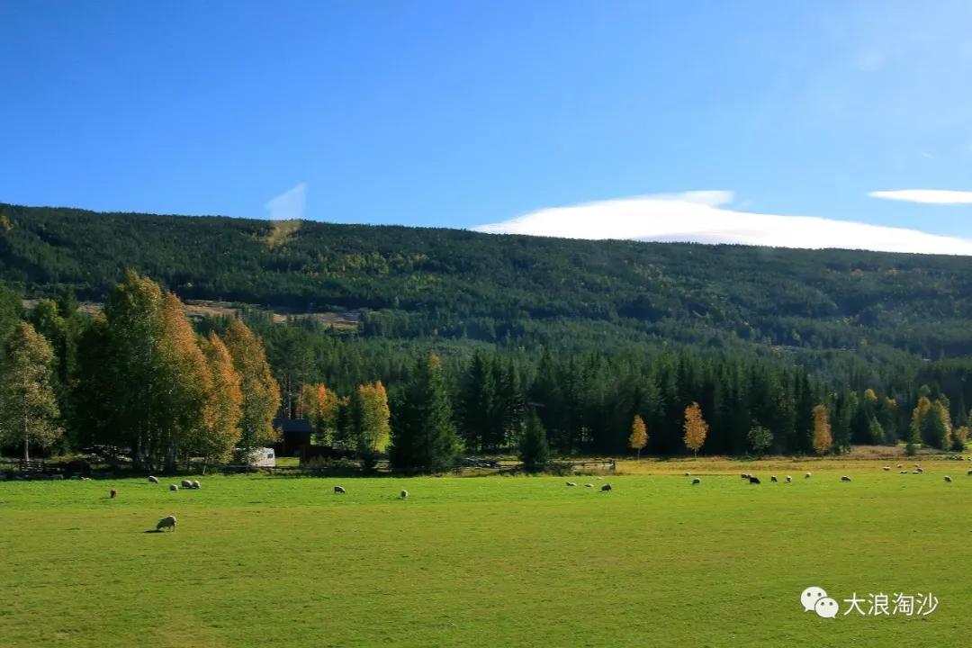 北欧三国游,社会福利最好的十大国家
