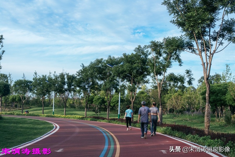 健身休闲绿道,临渭区渭河南堤渭河生态运动公园