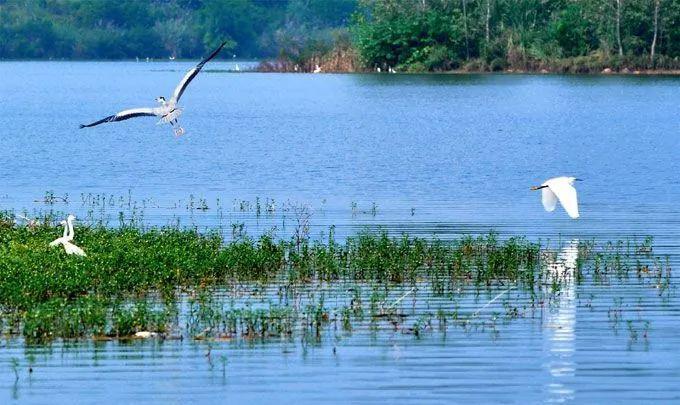 贵州值得去看的湖,贵州湖泊旅游