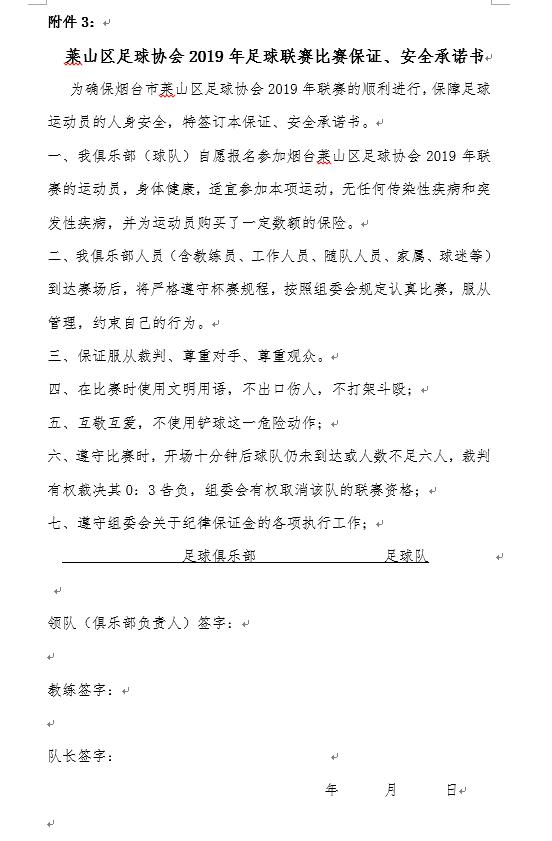 肥城市八人制足球联赛,足球协会八人制足球联赛