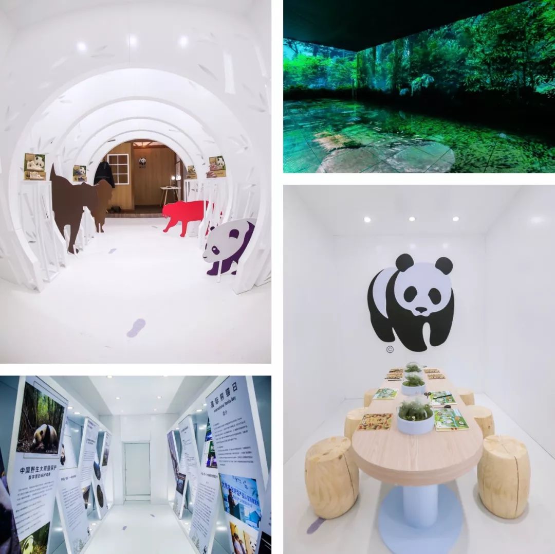 郑云龙同款鞋子,郑云龙的鞋子