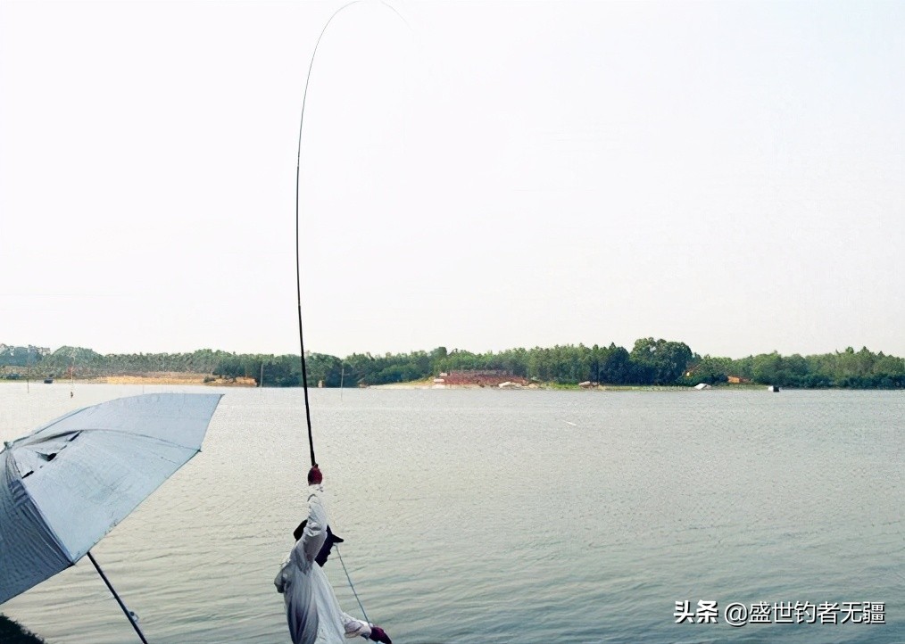 野钓诱鱼爆护小技巧,5个诱鱼技巧从此野钓只爆护