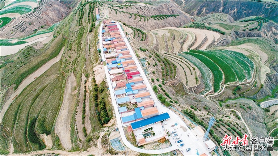 安定区白碌乡中山村,定西市安定区白碌乡中山村