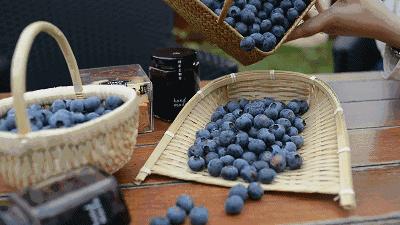 不吃糖抗氧化吗,不吃糖抗老化