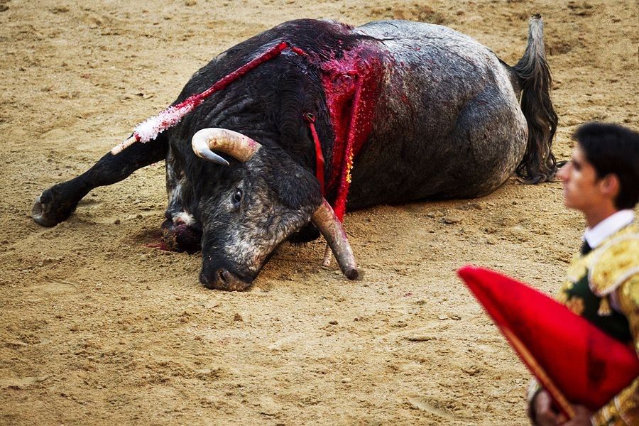 《沙王》:甲壳虫PK上帝,人性的预演,教育的反思