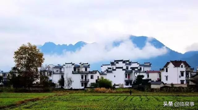 最新安徽61县市经济实力排行榜!临泉排名前列!