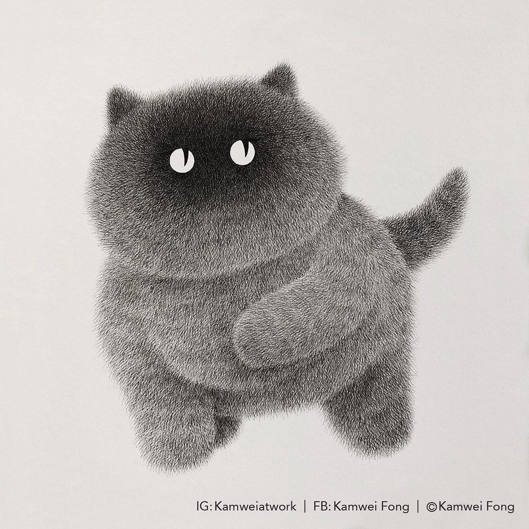 毛茸茸的手绘猫,可爱黑白手绘猫咪