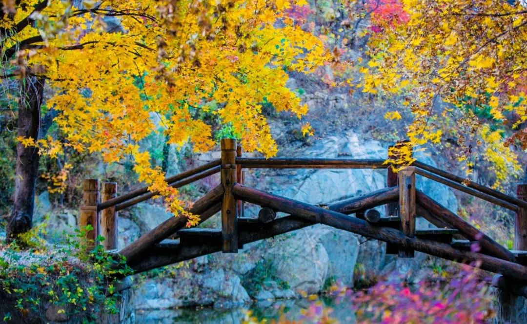 九如山什么季节去最好,秋游九如山旅游攻略