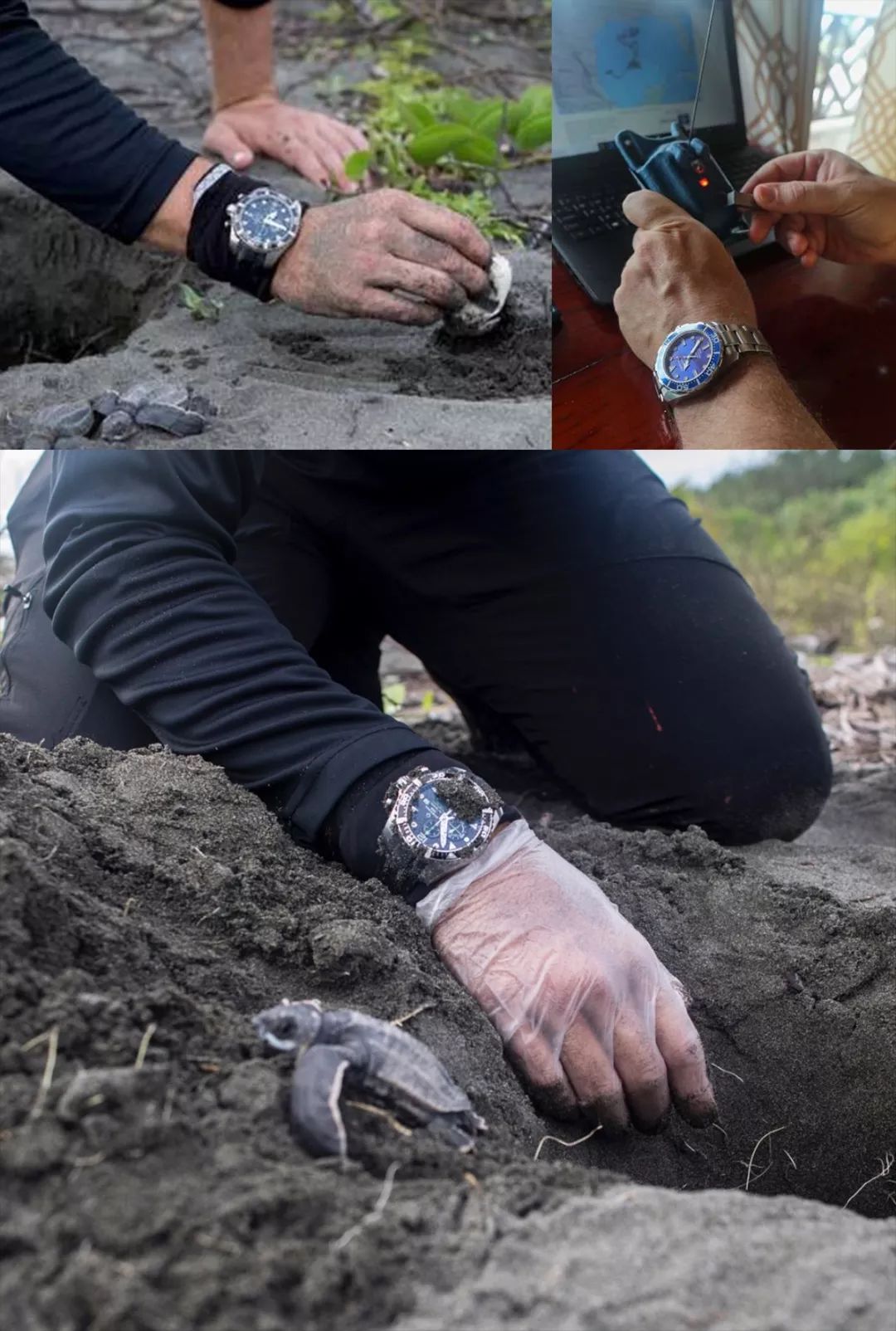 一场生命的冒险,一场关于勇气的冒险