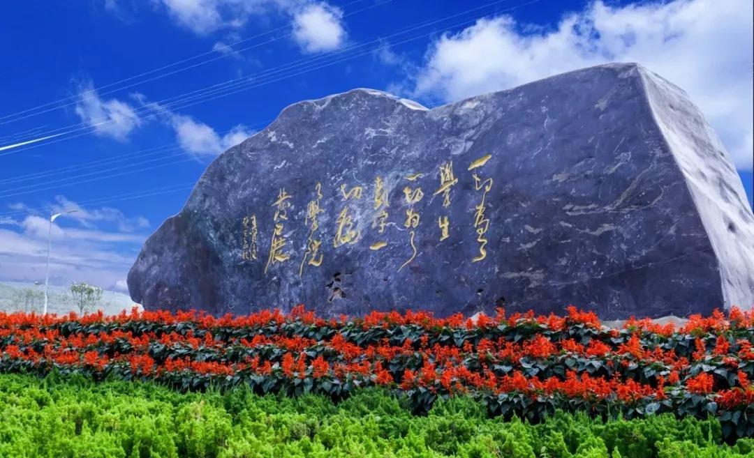 民办学校大连艺术学院全国排名,大连艺术学院辽宁排名