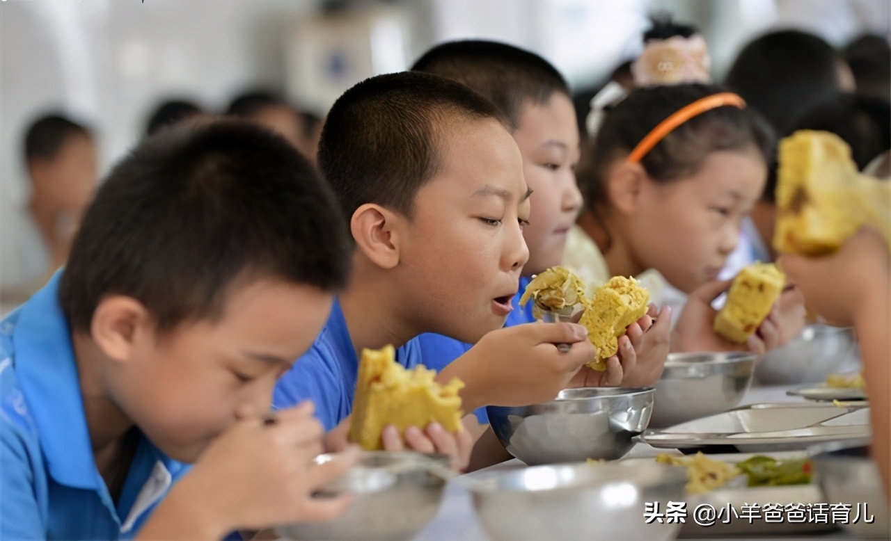 孩子要不要上寄宿制学校,孩子上一年级有必要休学吗