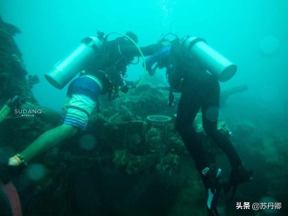 极限潜水死亡名单,潜水的死亡率高