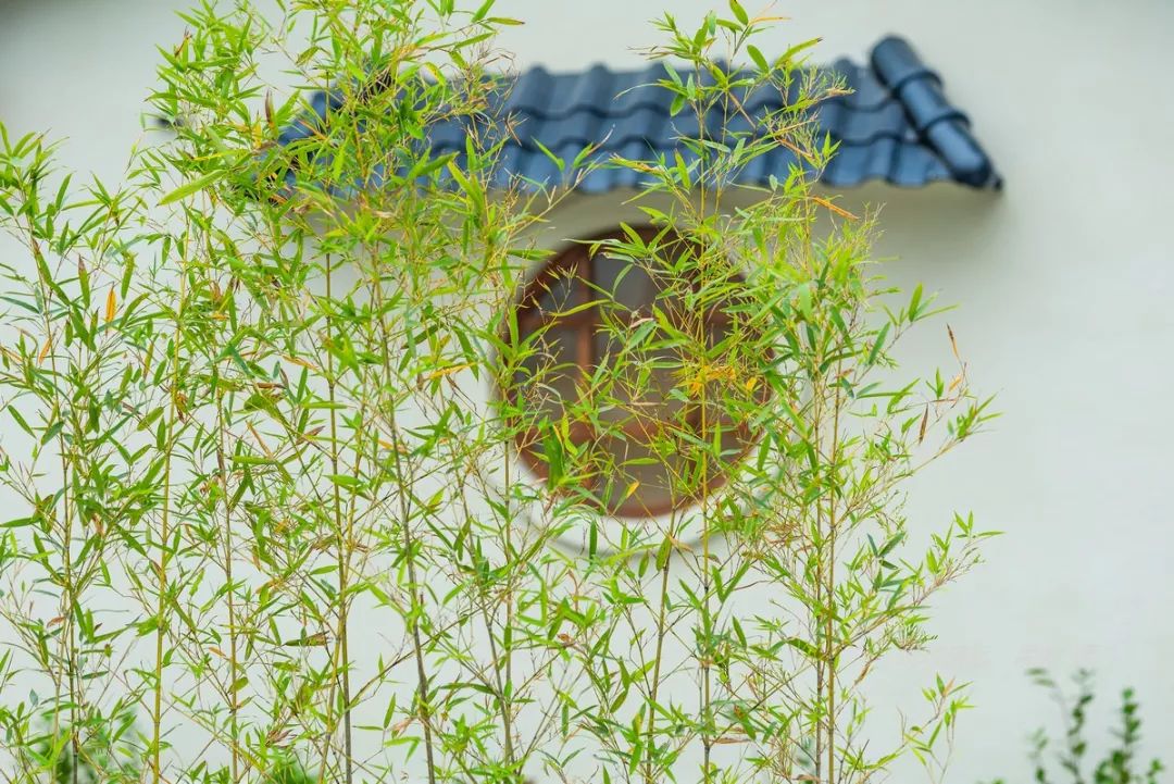 清远止林温泉民宿多少钱一晚,清远独立温泉民宿度假村排名榜