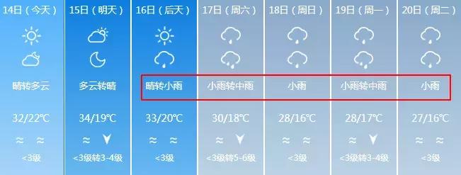 NO.870:鸽子在天上飞的呢,阿克苏却有人要买1000只…