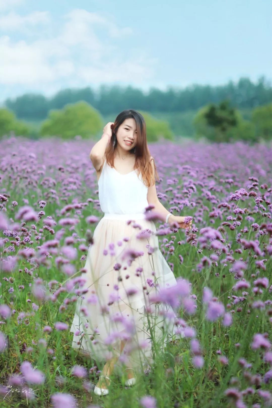 三月赏花一日游上海景点,本月上海赏花一日游最佳去处