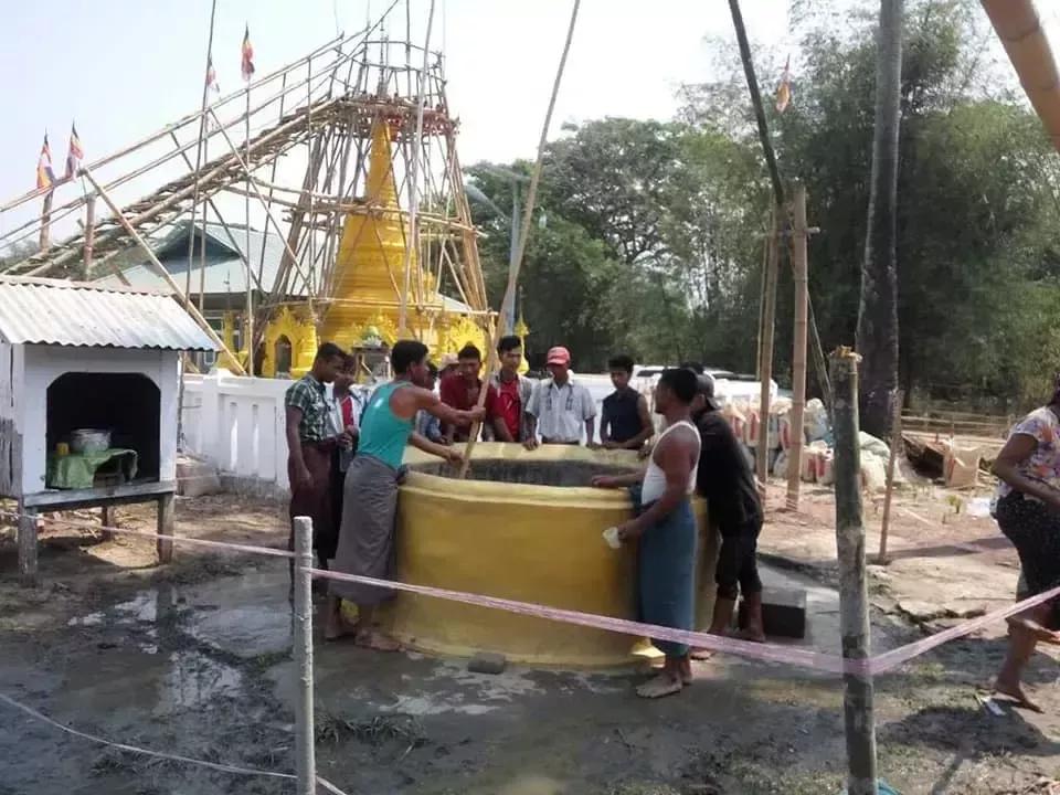 2019年，缅甸蟒蛇舍命报恩，冷血动物也有温情一面