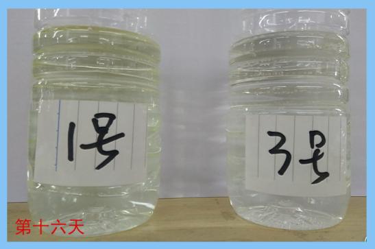 怎么用土方法去甲醛,治理甲醛的最好方法大全