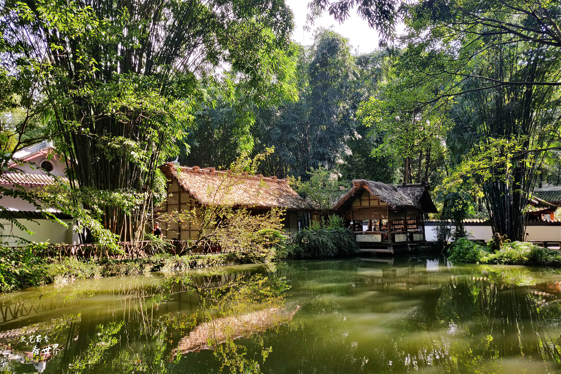 假期想去成都旅游怎么办,假期旅游去成都