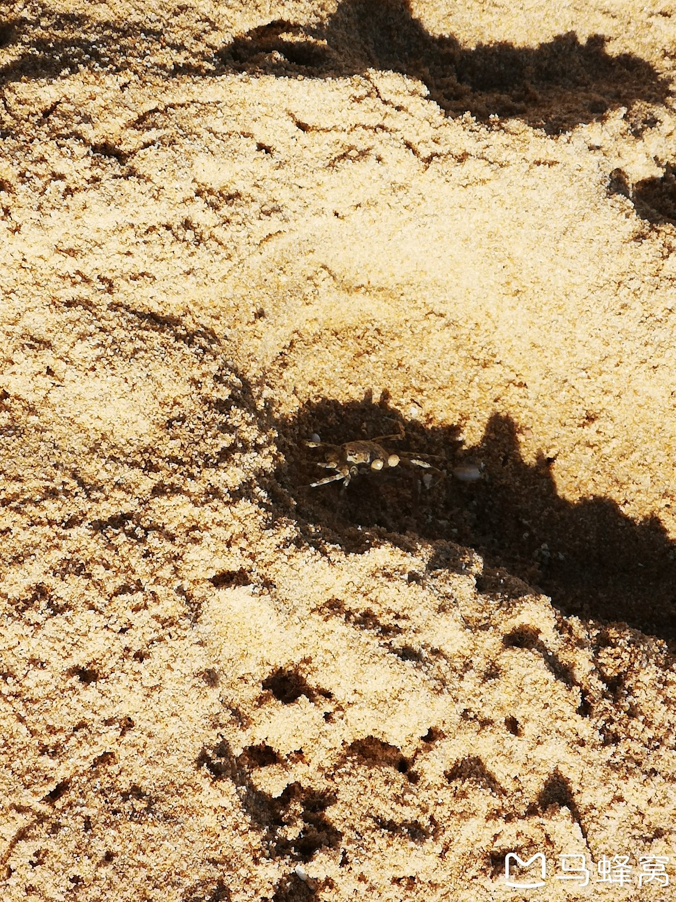 三亚夏天的海和冬天的海,三亚冬天如夏