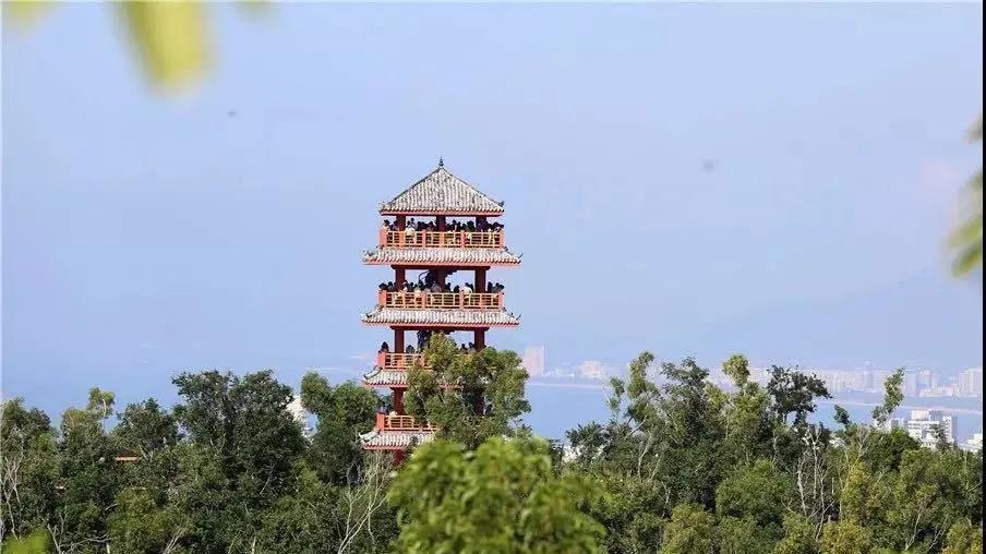 三亚冬天的感受,三亚的冬天的风景