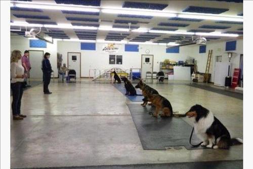 德国最有趣的冷知识,关于德国的有趣事实