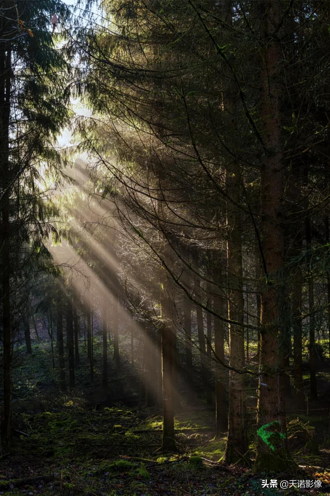 徕卡sl2-s,徕卡sl2视频作品