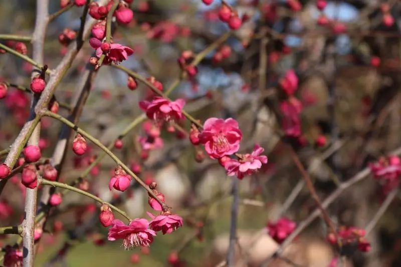 晋城司徒小镇异域风情,晋城皇城相府和司徒小镇