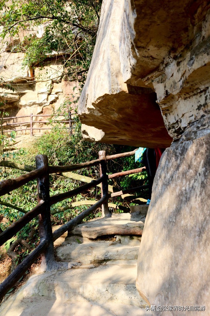 张家界森林公园亲子游攻略,张家界旅游攻略现在张家界气温