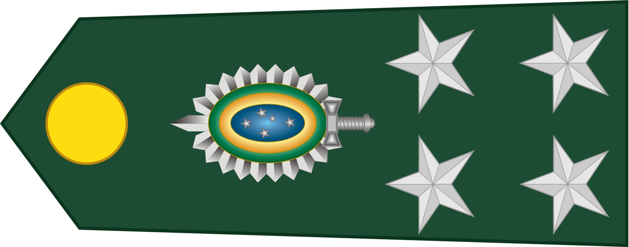 巴西军队标志,巴西海军军衔