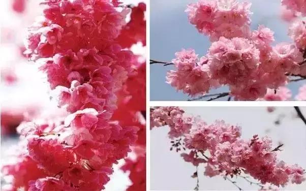 广东温泉酒店推荐带恒温泳池,广东从化顶级温泉酒店