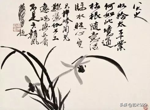 国画兰花的画法太棒了简单易学,泰国兰花绘画技法