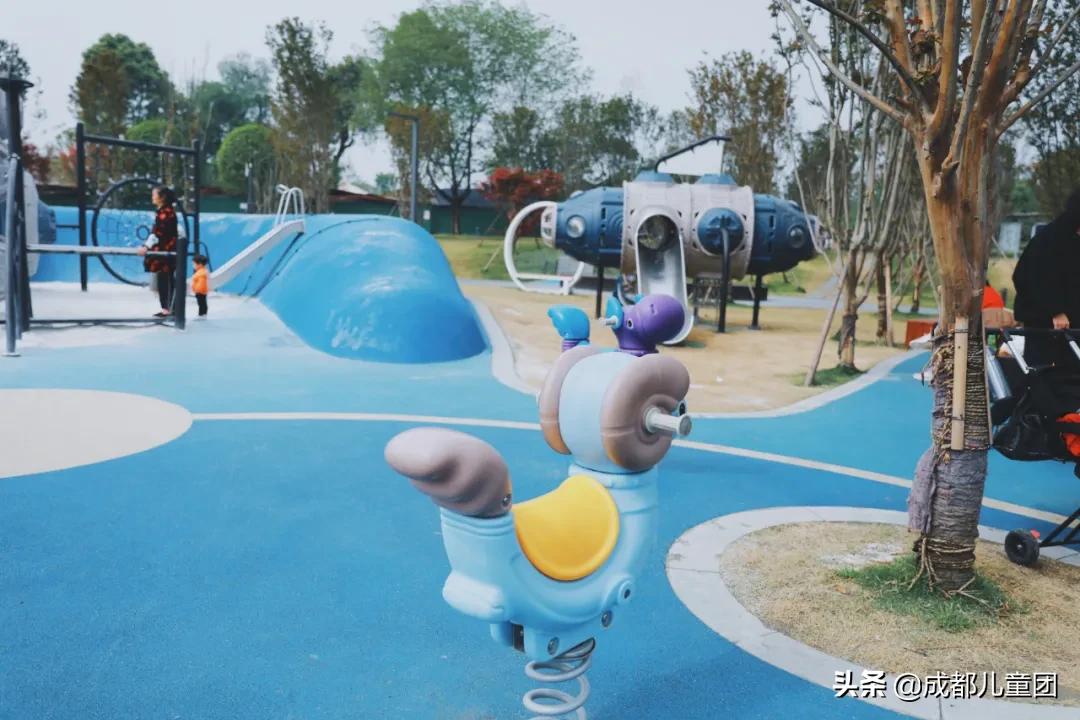 双流空港体育公园看飞机攻略,周末去空港花田