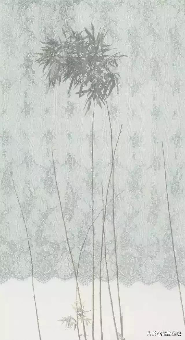 徐华翎工笔,徐华翎工笔没骨画