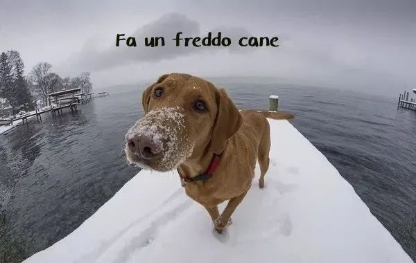 意大利语100句简单对话,意大利100句口语