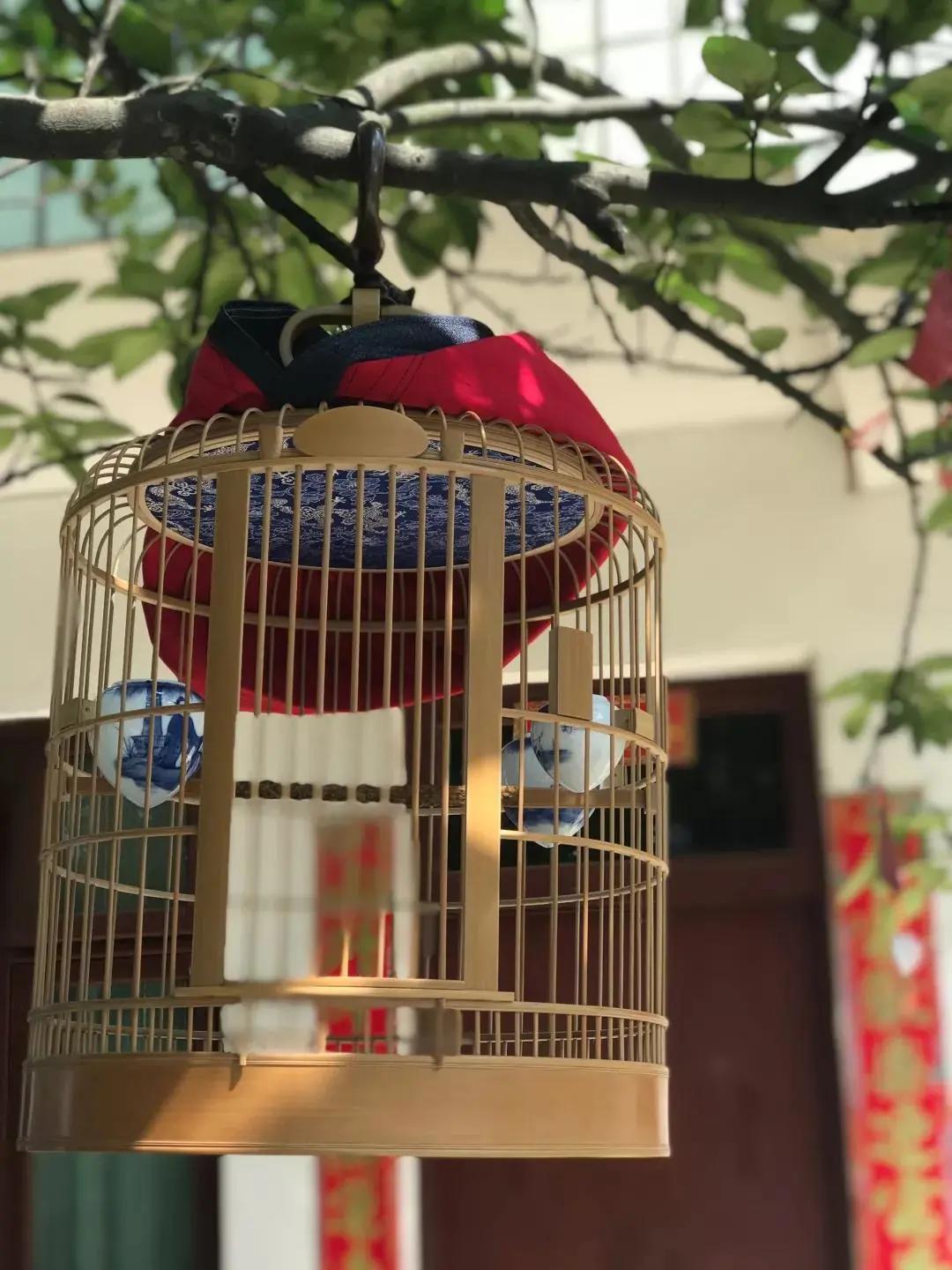 古城竹鸟笼制作技艺,竹鸟笼制作全过程清远市