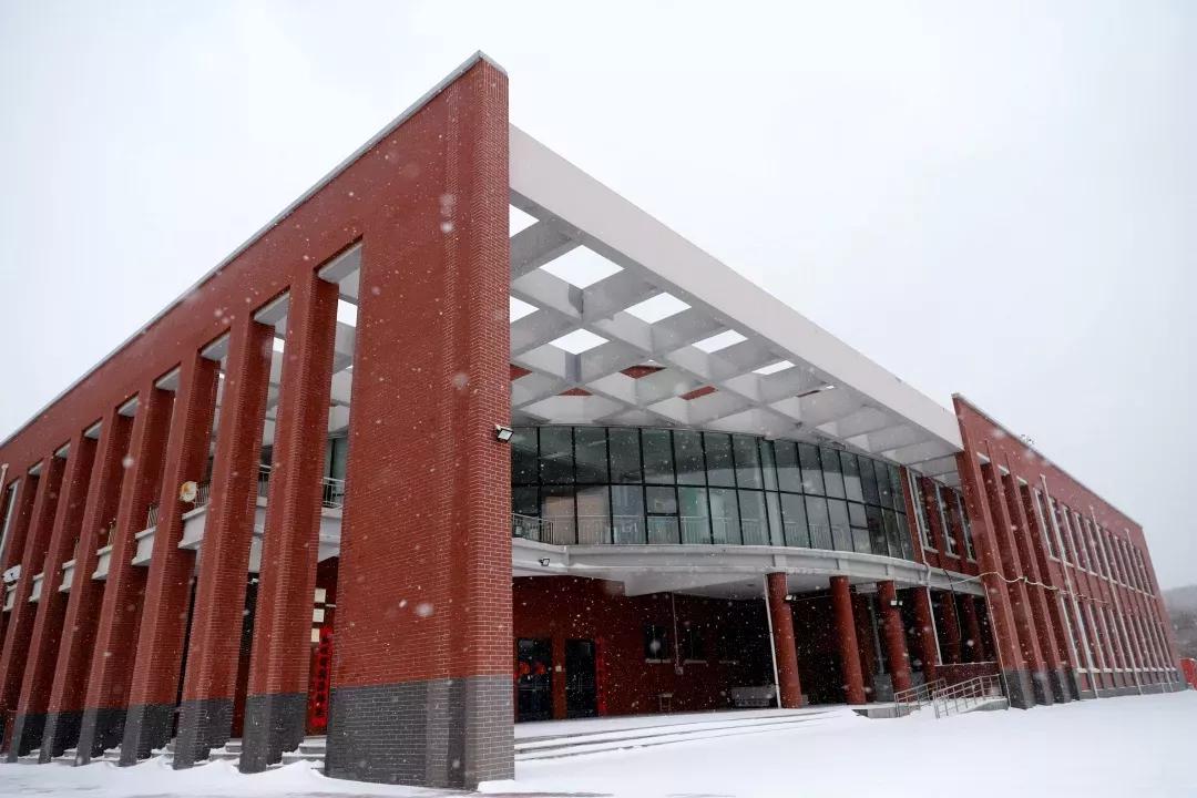 民办学校大连艺术学院全国排名,大连艺术学院辽宁排名