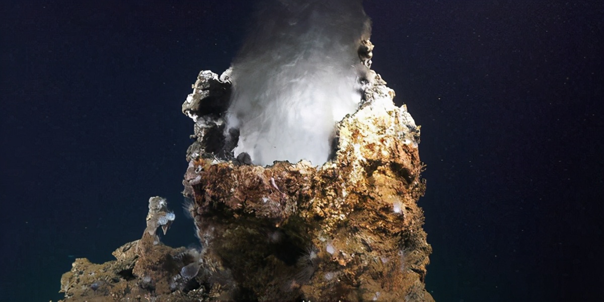 海底虾450度高温叫什么名字,100度水煮不死的虾