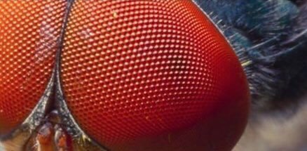 火影忍者真人cosplay写轮眼,火影cos现场