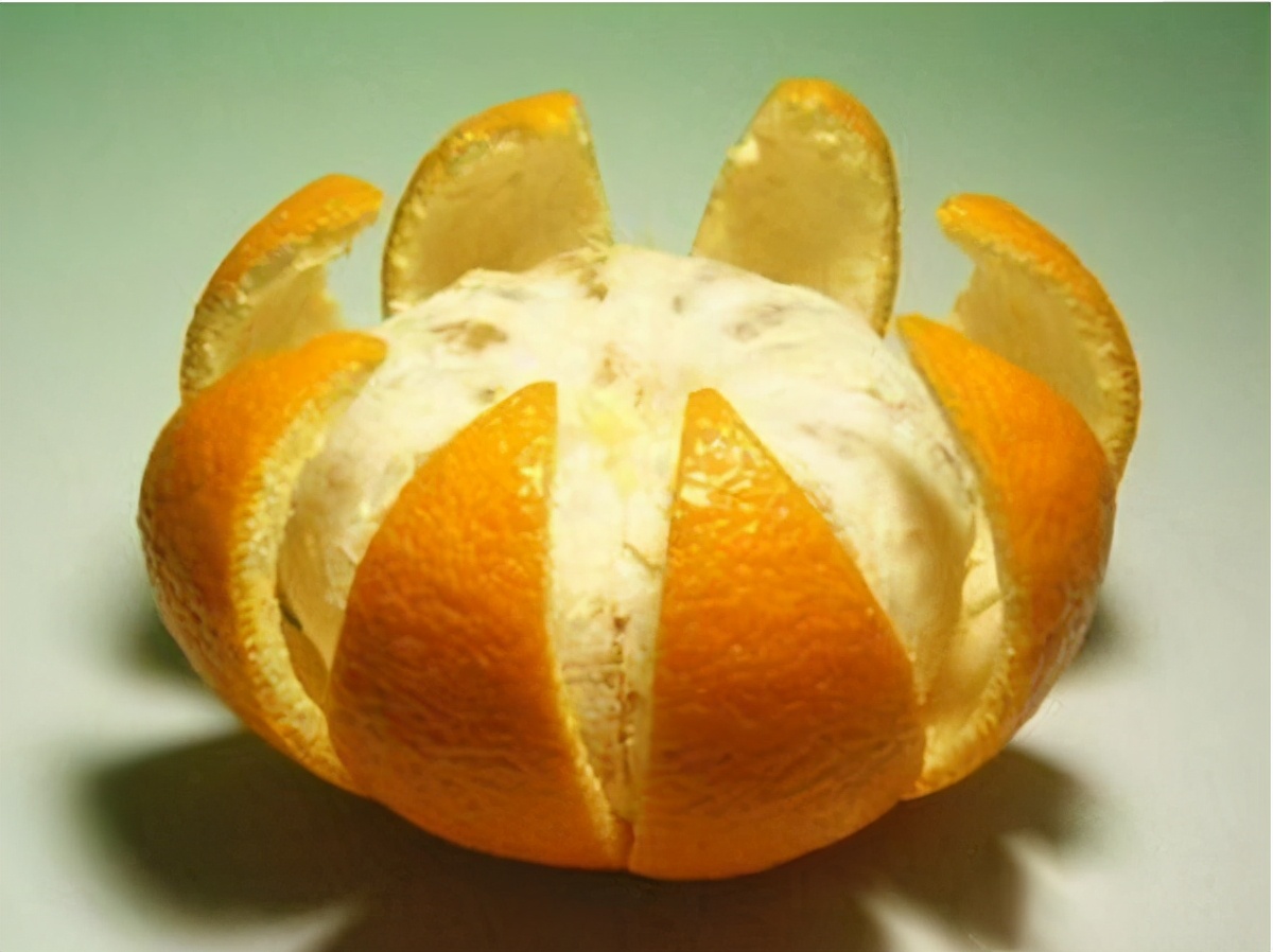 狗狗刚出生一个礼拜身上好多跳蚤,狗狗跳蚤如何治理