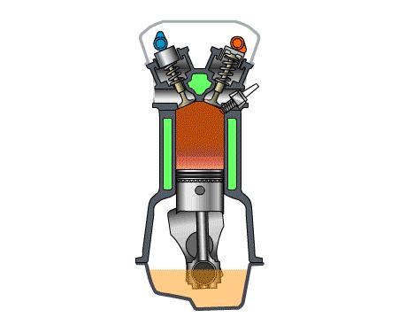 蓖麻子为什么成为了战略物资,蓖麻国家禁止吗