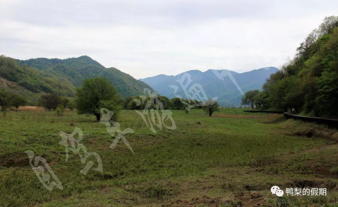 自驾车游遍中国之（一）——世界那么大，我想去神农架