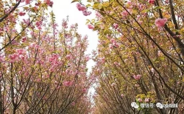 常州这10个被全省表彰的“网红村”、“创意园”，你去过吗？