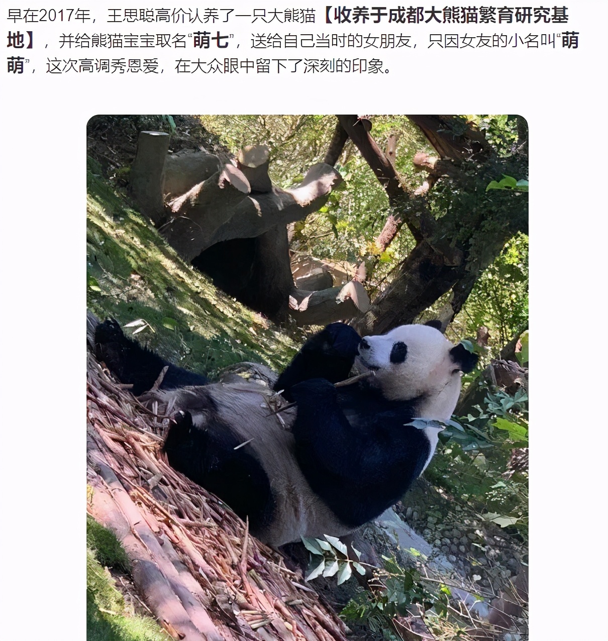 王健林的父子现状,王健林父子差距