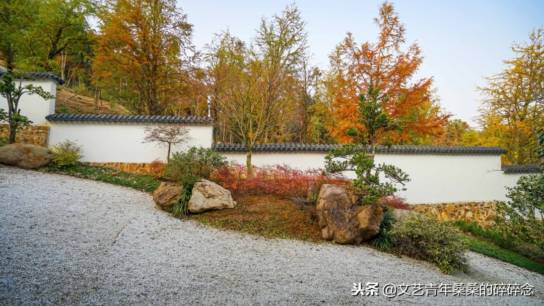 牛首山佛顶宫游览顺序,牛首山佛顶宫初体验