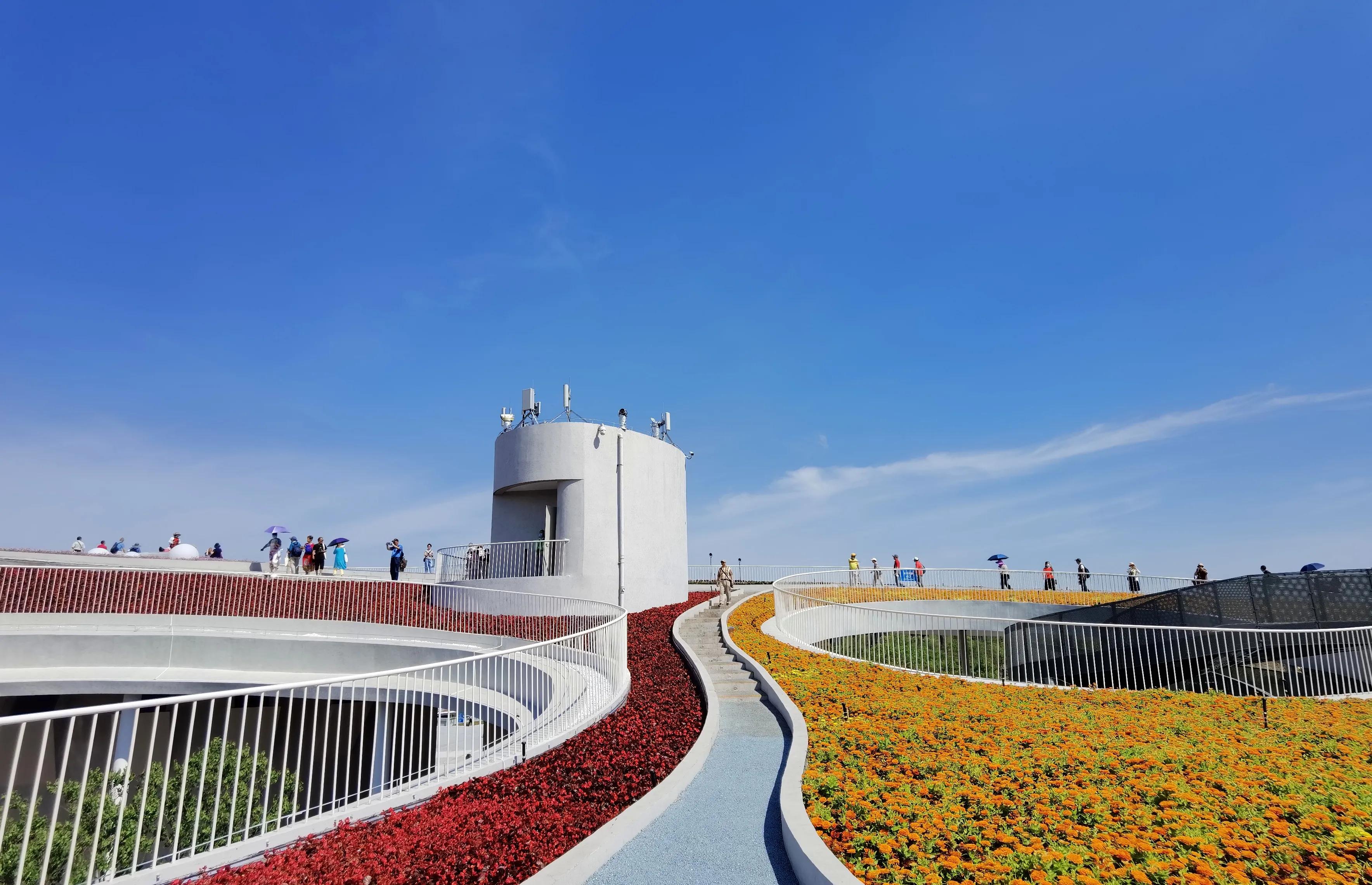 关于崇明花博会,崇明花博会全程花景