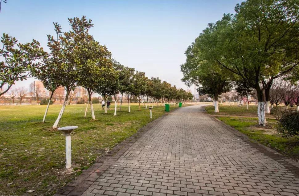 南京哪几个公园免费又好玩,南京莫愁湖公园免费