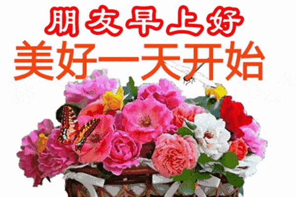 早上好最漂亮微信表情祝福图片,微信最漂亮早上好表情图片带鲜花