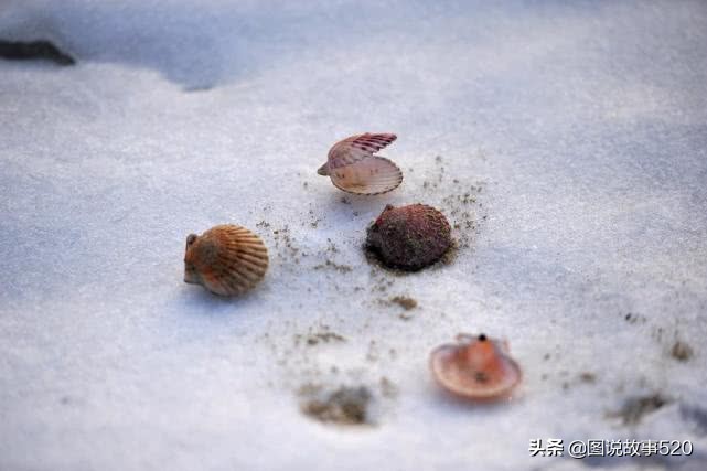 大海和沙漠之间的地方,大海和沙漠相接的地方