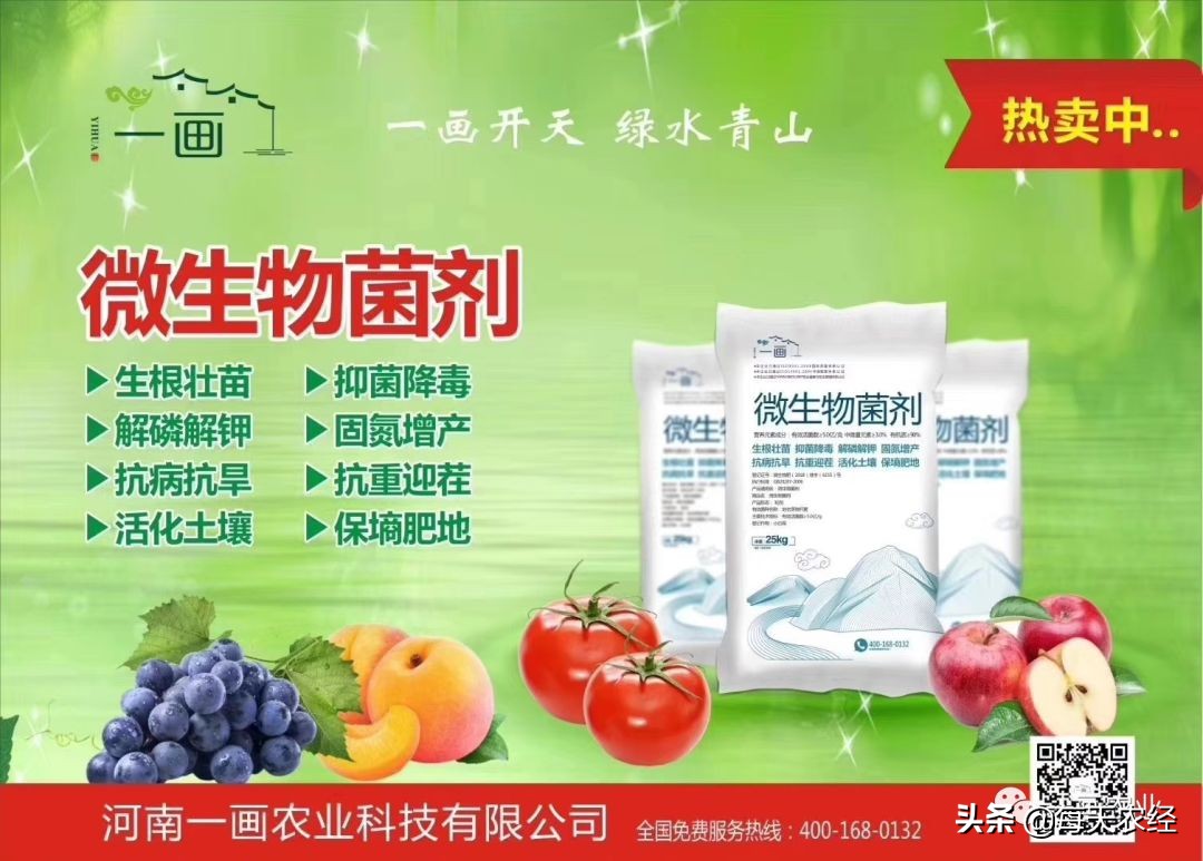 践行绿水青山就是金山银山,践行绿水青山就是金山银山的案例